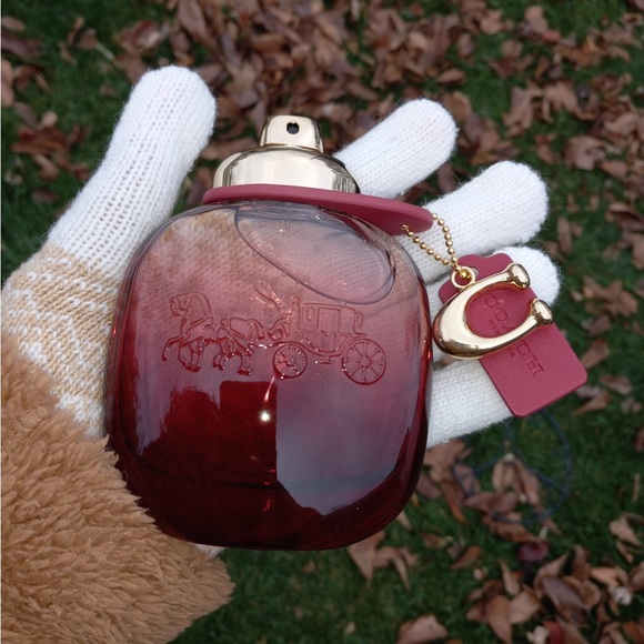 Coach Wild Rose EDP 100ml - Picture 2 of 9